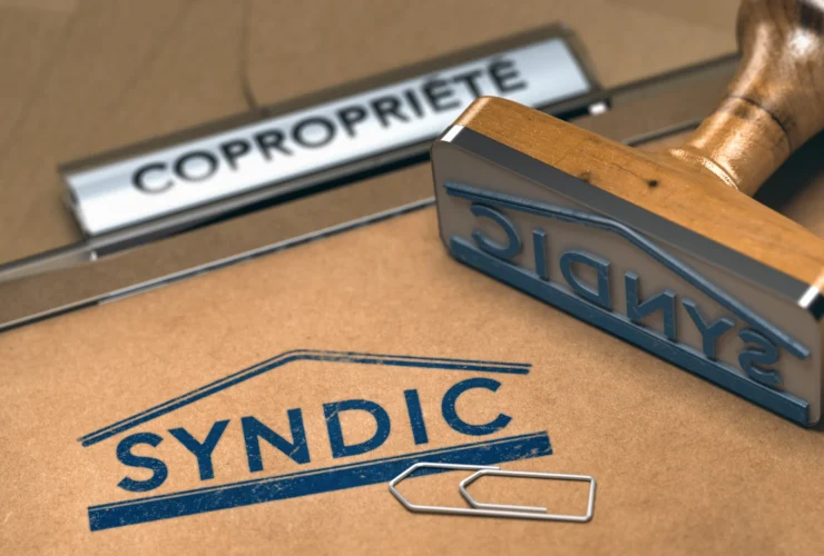 Article 2 | Synd'up